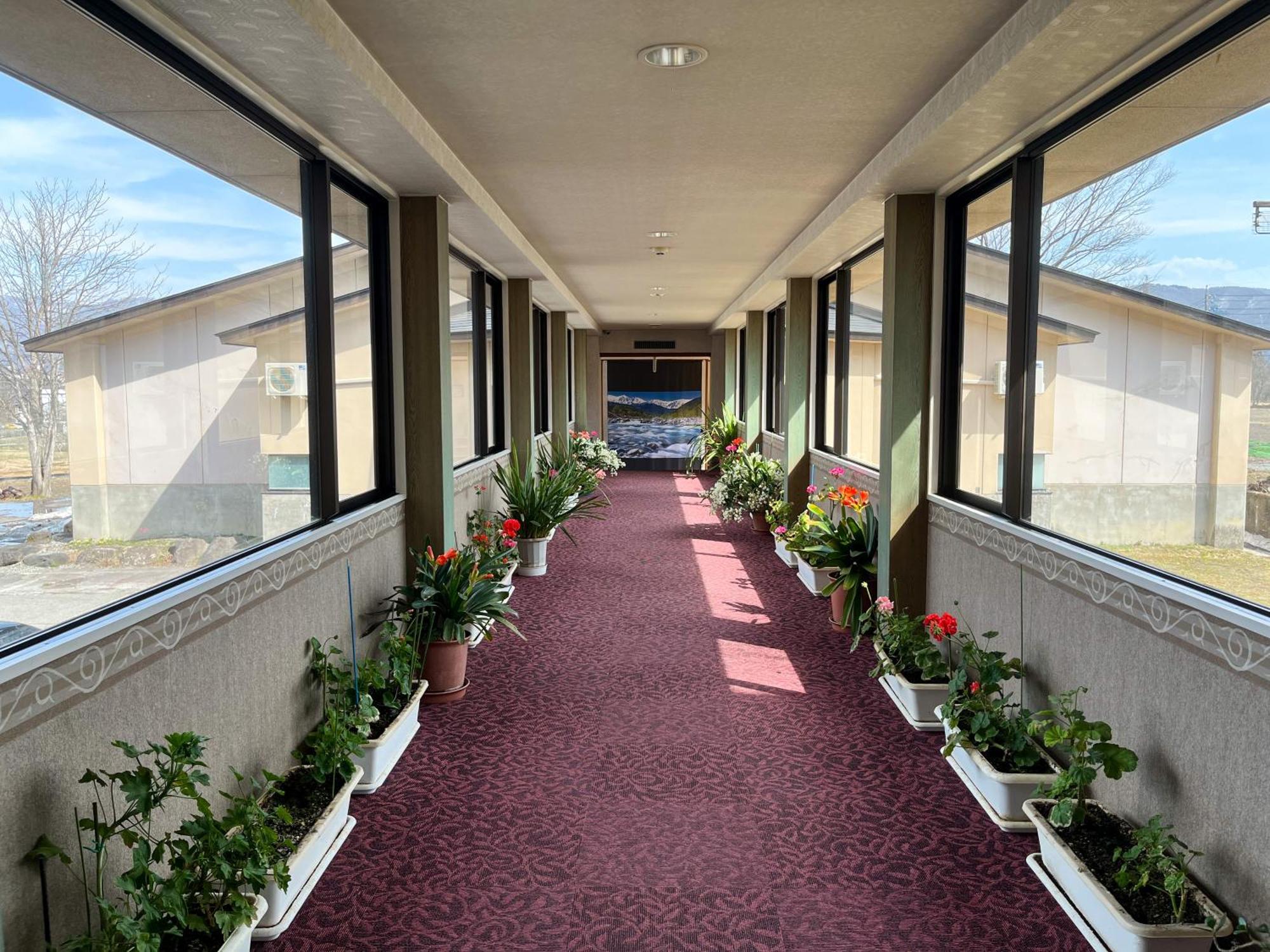Hotel Goryukan Hakuba Exterior foto